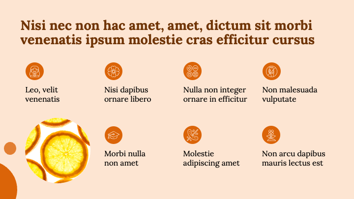 Bold Tangerine slide 8